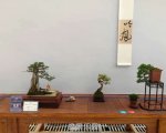 �ڶ����й���СƷ�辰��չ��Ʒȫ��27