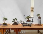 �ڶ����й���СƷ�辰��չ��Ʒȫ��16