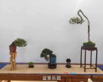 �ڶ����й���СƷ�辰��չ��Ʒȫ��4