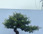 ���߽��й����辰չ�������辰��Ʒȫ��6