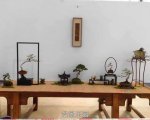 �ڶ����й���СƷ�辰��չ��Ʒȫ��19