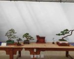 �ڶ����й���СƷ�辰��չ��Ʒȫ��21
