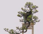 ʽ辰 2