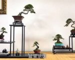 С΢辰 35