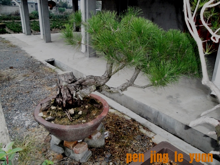 DSC07342.JPG