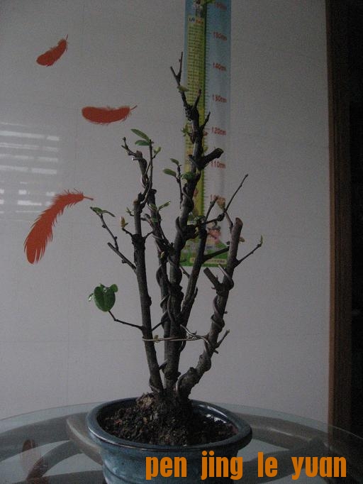 Ƭ 004.jpg