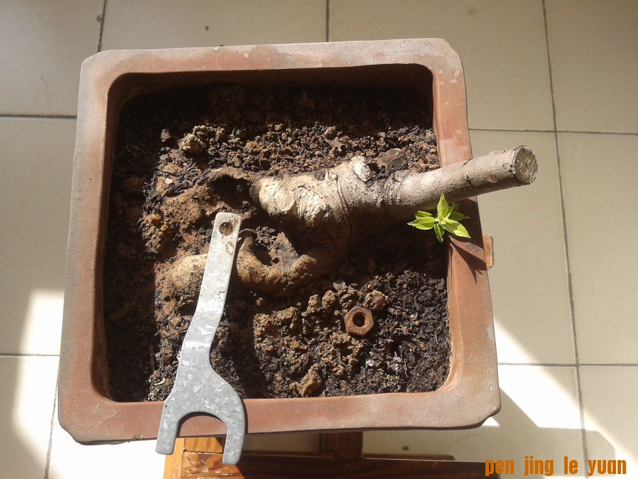 2011-10-14 09.45.17.jpg