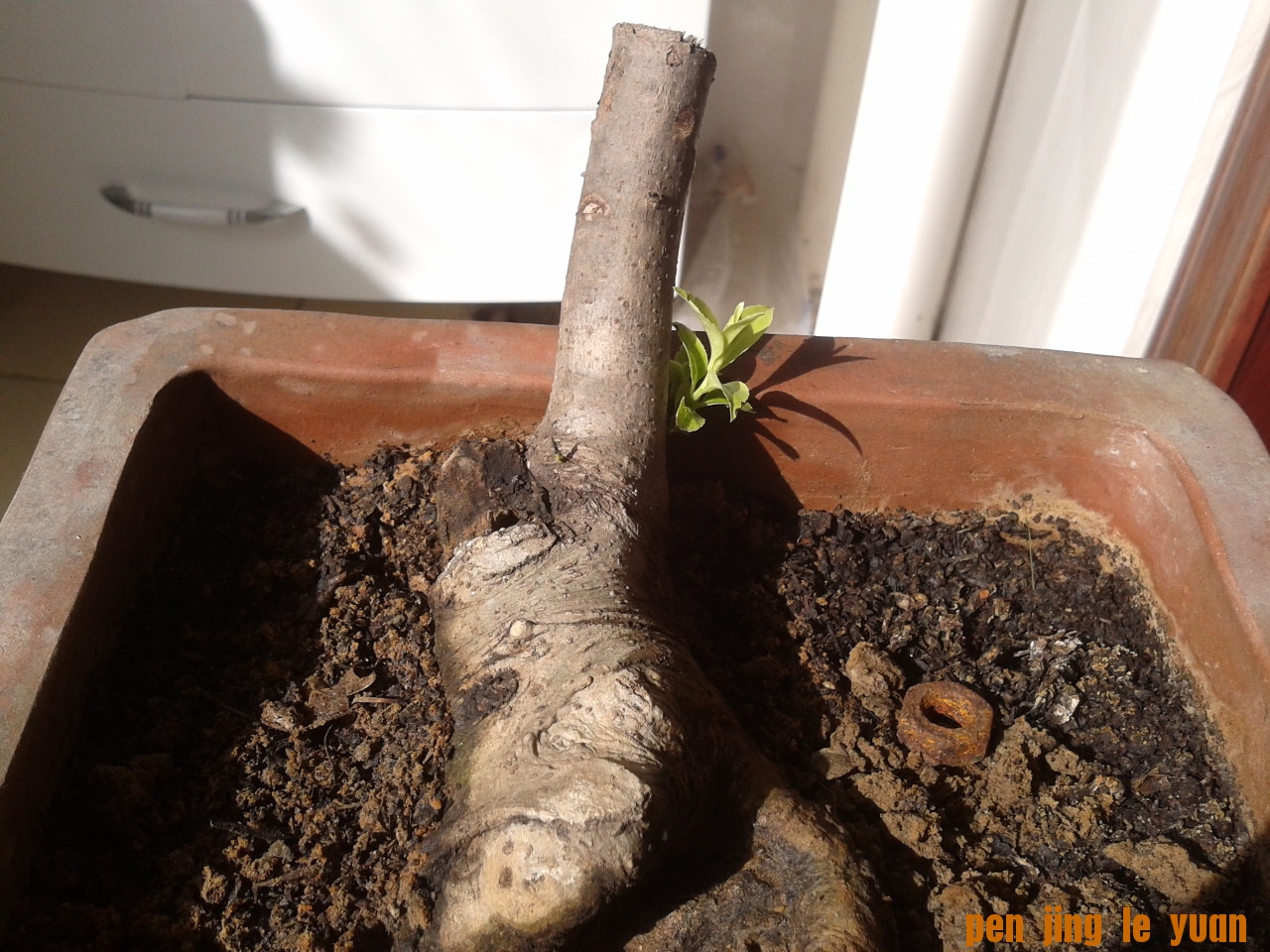 2011-10-14 09.45.35.jpg