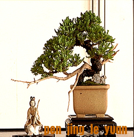 RIMG1655_.jpg