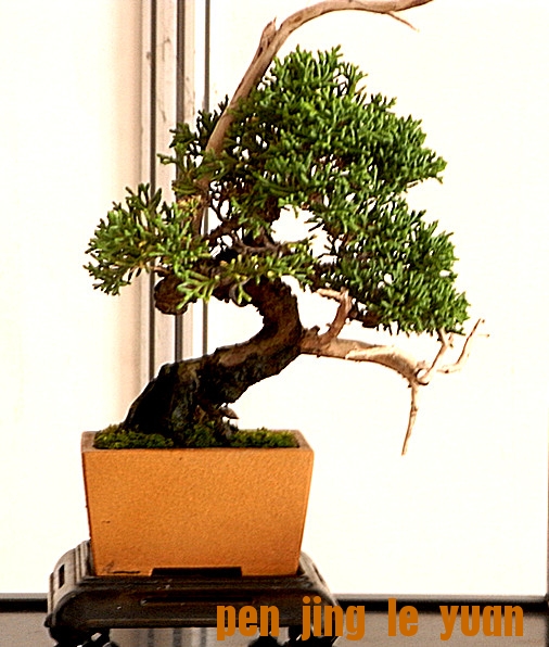 RIMG1656_.jpg