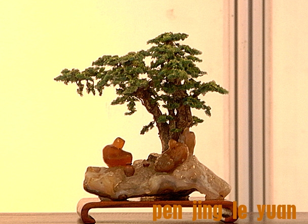 RIMG1704_.jpg