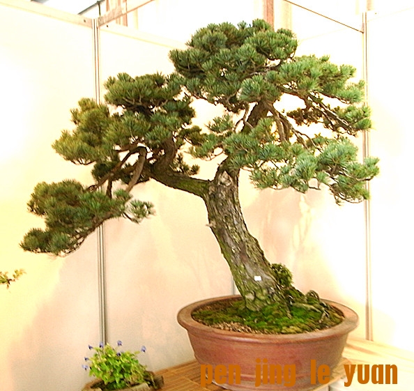 RIMG1756_.jpg