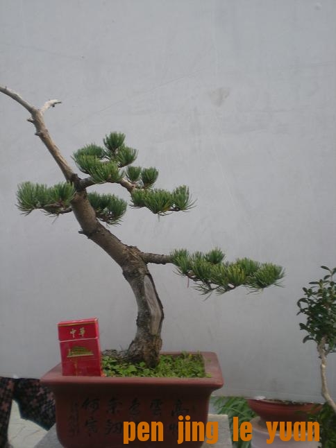 20111014С԰գ1 019.jpg