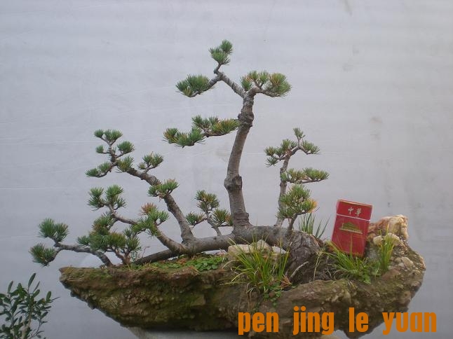 20111014С԰գ1 020.jpg