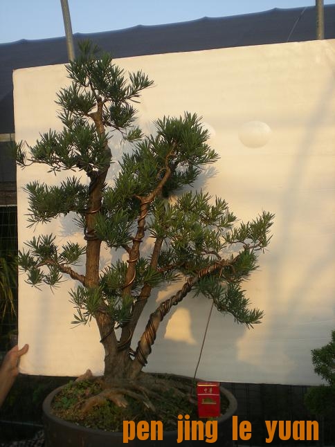 20111014С԰գ1 025.jpg