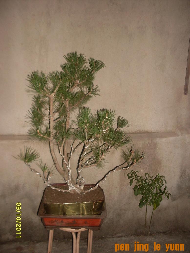 SDC10469.JPG