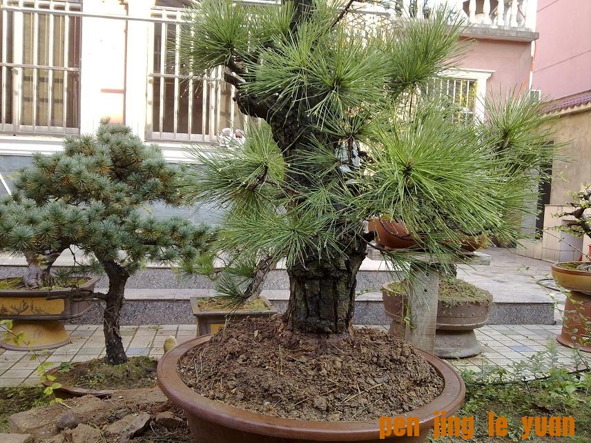 20111017440.jpg