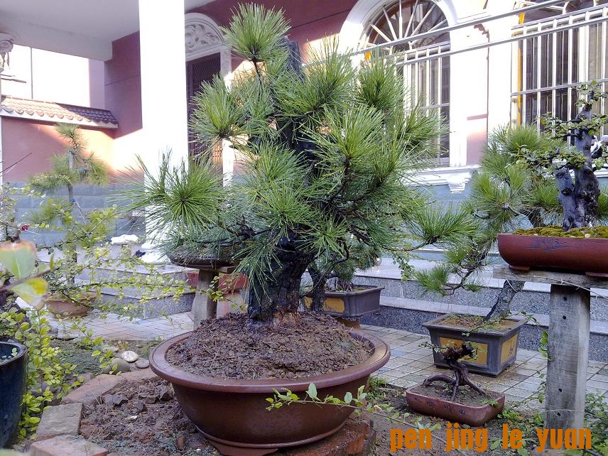 20111017436.jpg