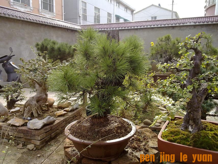 20111016433.jpg