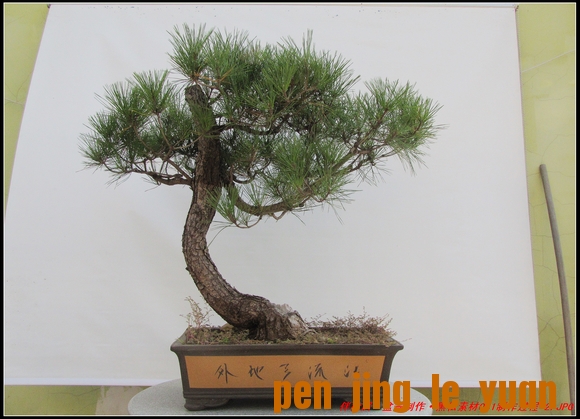 ɾӡ辰ز061-2_nEO_IMG.jpg