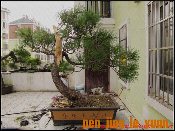 ɾӡ辰ز061-6_nEO_IMG.jpg