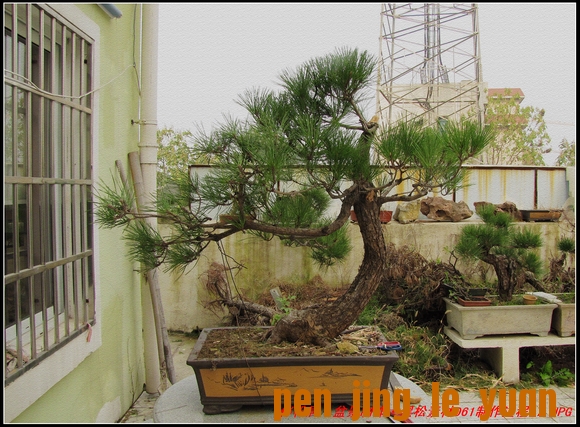 ɾӡ辰ز061-7_nEO_IMG.jpg