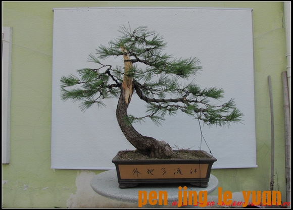 ɾӡ辰ز061-8_nEO_IMG.jpg