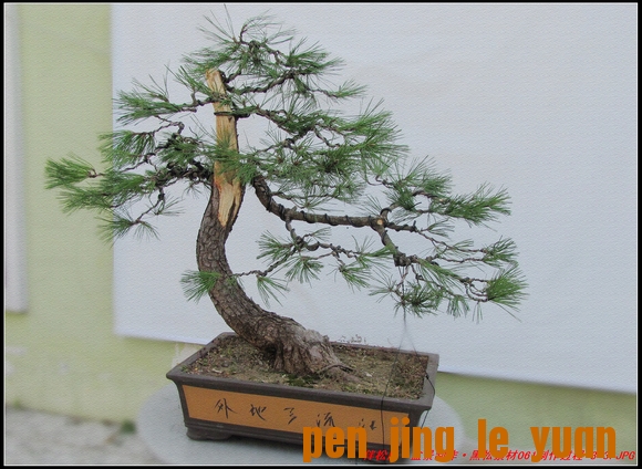 ɾӡ辰ز061-8-3_nEO_IMG.jpg