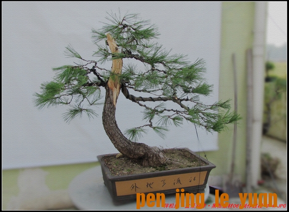 ɾӡ辰ز061-8-4_nEO_IMG.jpg