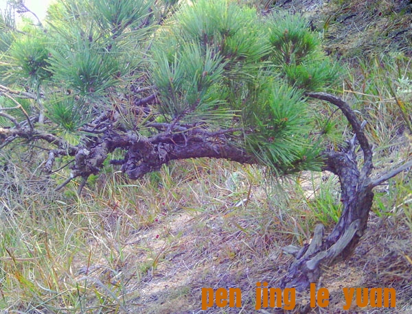 IMAG0024.JPG