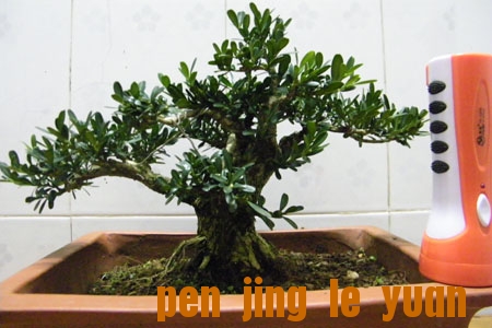 100_1434.jpg