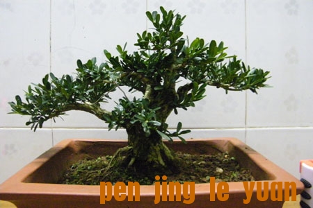 100_1430.jpg