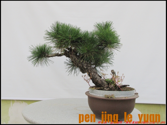 ɾӡ辰ز062-3_nEO_IMG.jpg