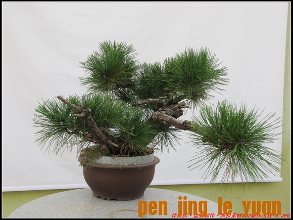 ɾӡ辰ز062-6_nEO_IMG.jpg