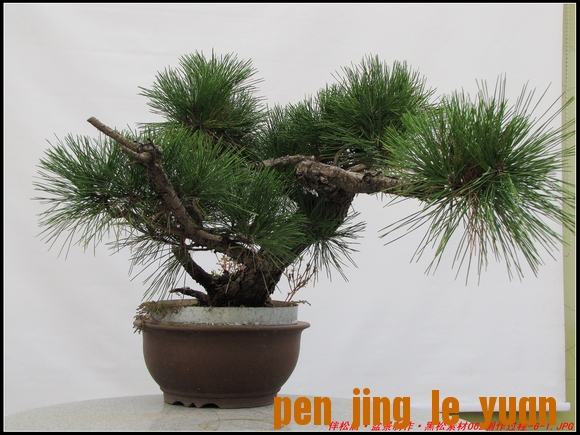 ɾӡ辰ز062-6-1_nEO_IMG.jpg