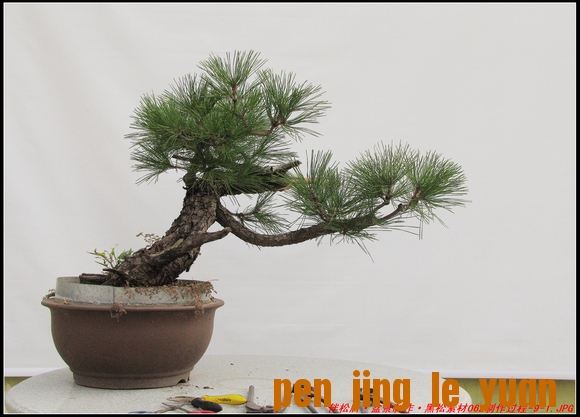 ɾӡ辰ز062-9-1_nEO_IMG.jpg