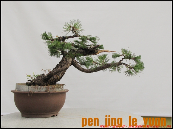 ɾӡ辰ز062-11_nEO_IMG.jpg