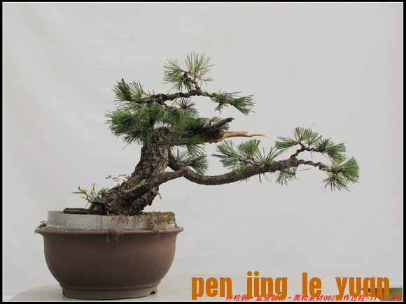 ɾӡ辰ز062-11-1_nEO_IMG.jpg