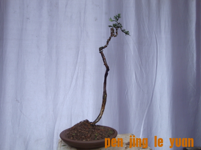 DSC05304.JPG