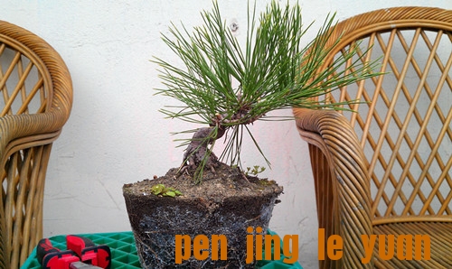 IMAG0099_.jpg