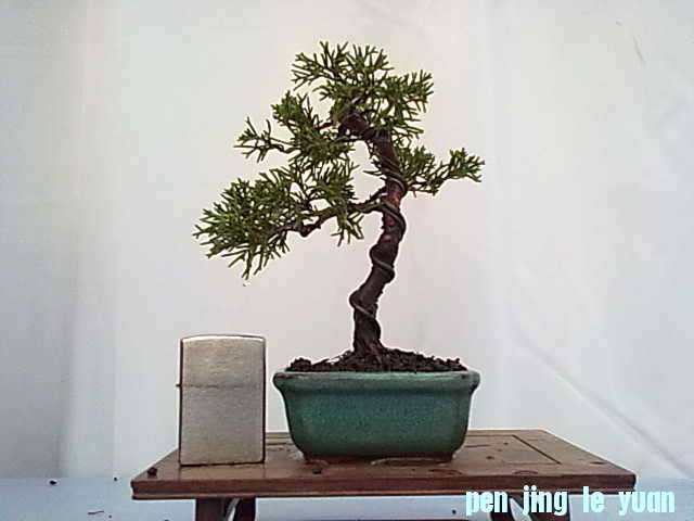 20111020846.jpg