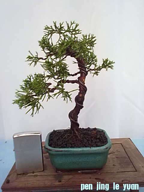 20111020844.jpg