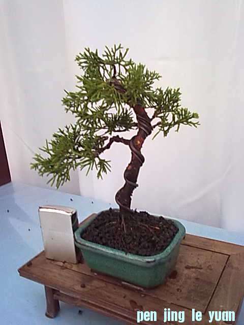 20111020845.jpg