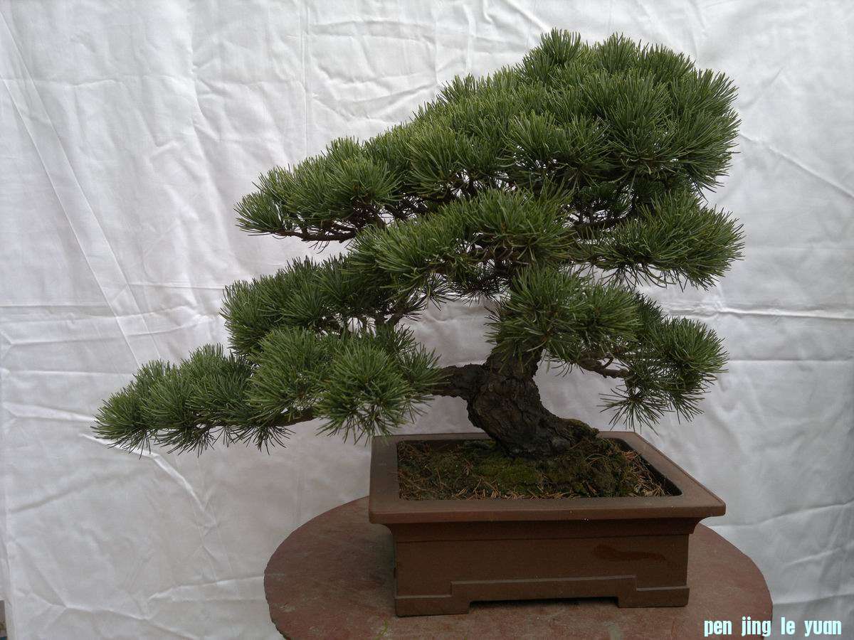 20111020343.jpg
