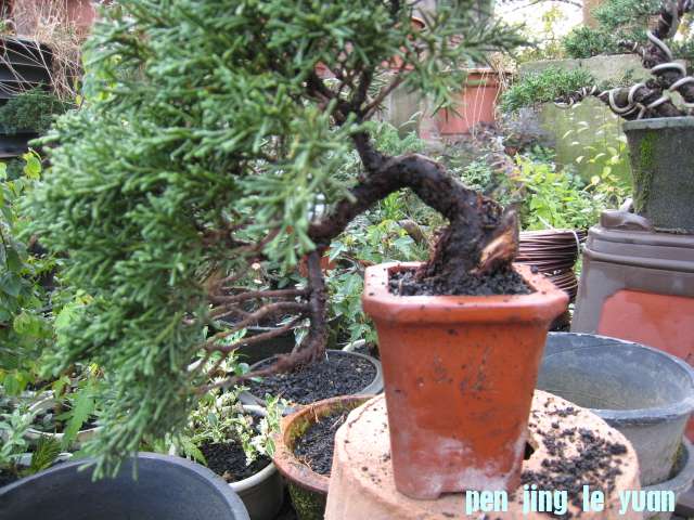 IMG_0062.JPG