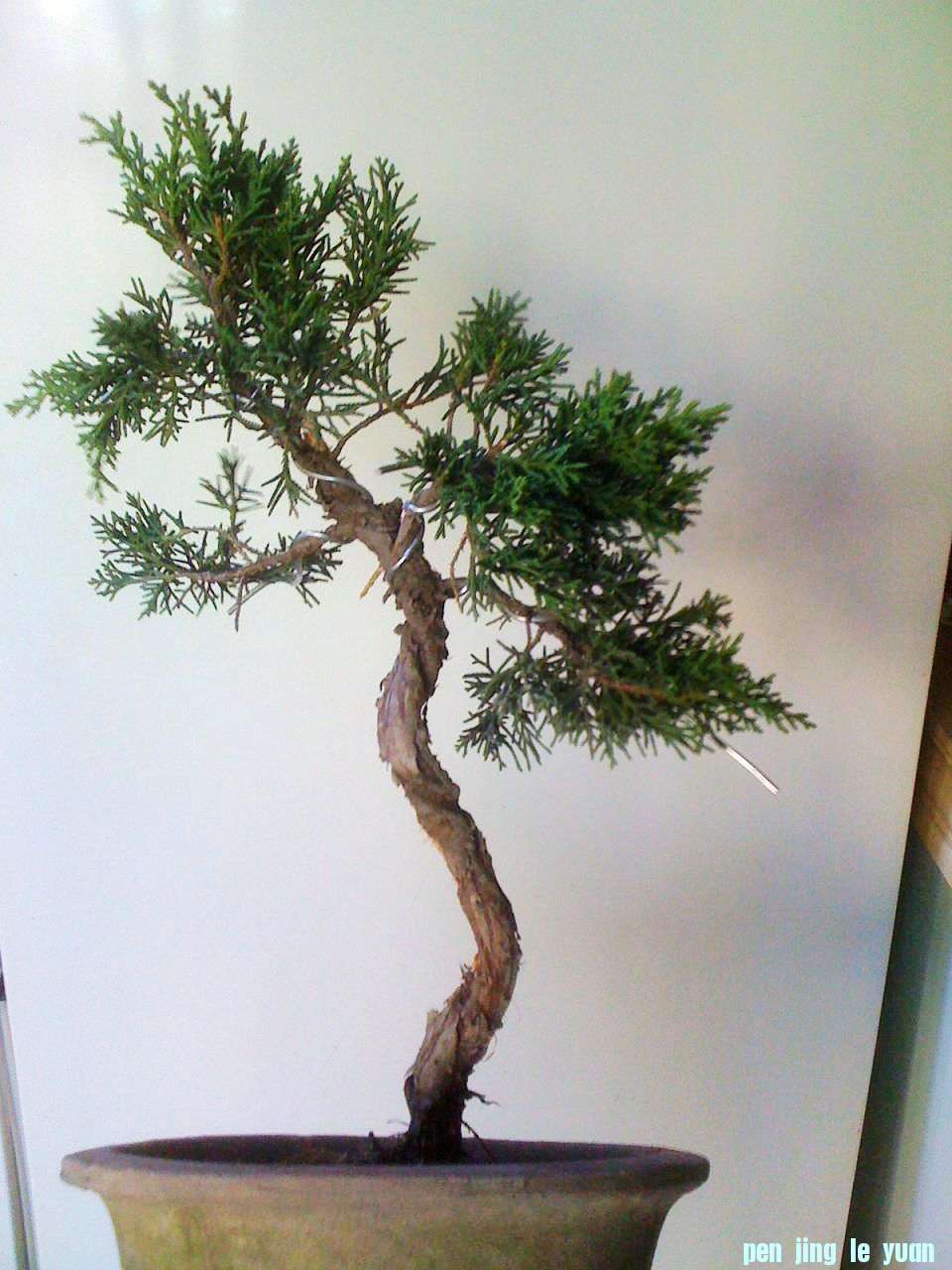 Ƭ 005.jpg