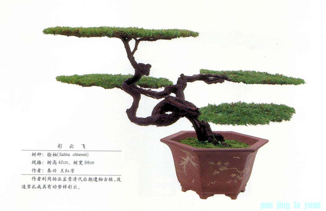 ̩췼 Ʒ.jpg