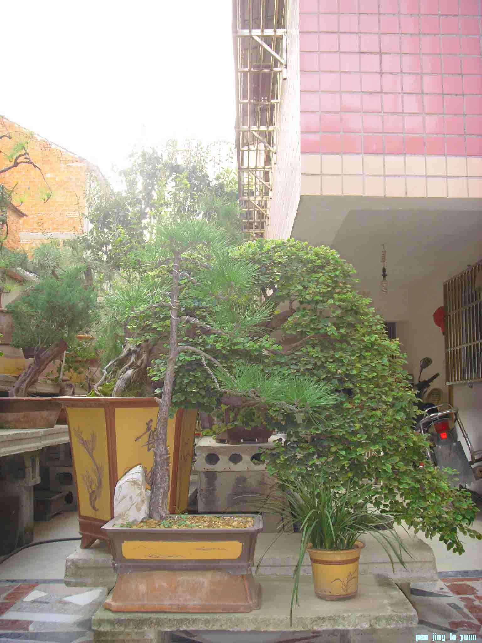 SDC12478.JPG