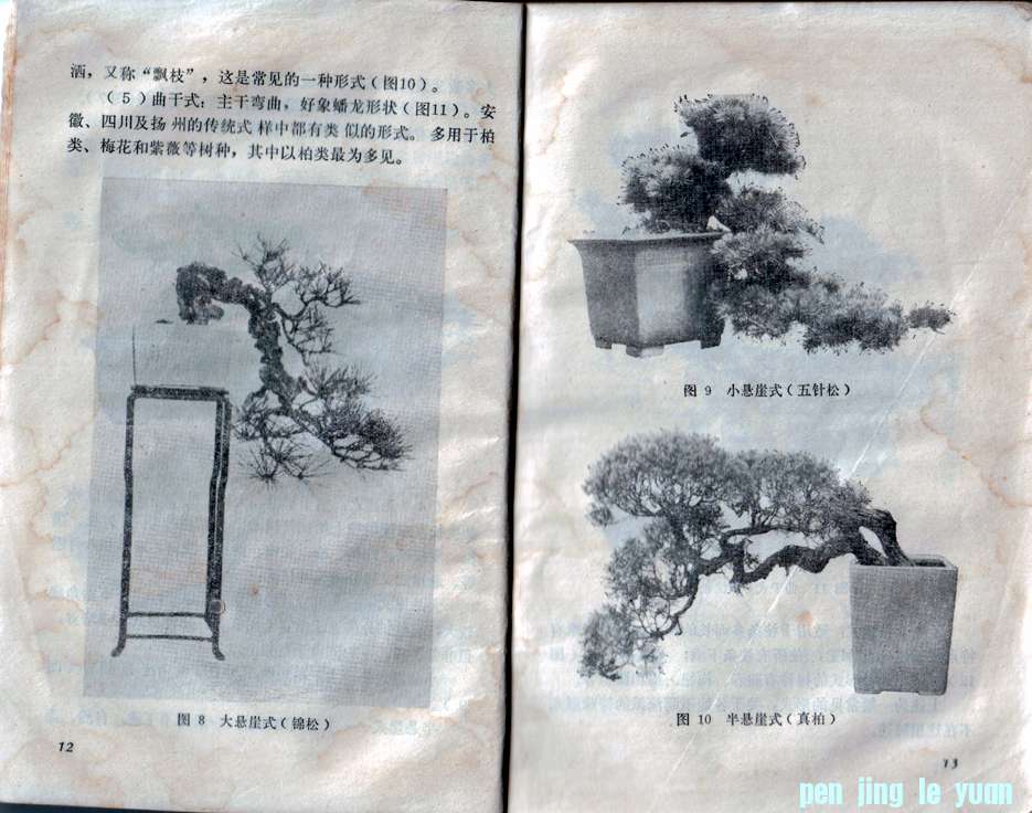 סȪ辰4йҵ1981-3.jpg