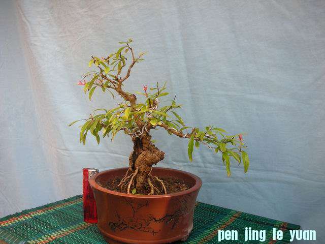С DSCN4693.jpg